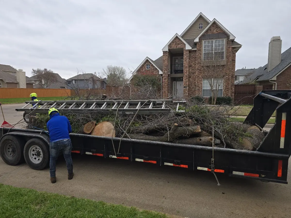 Expert Lot Clearing with proper safety equipment in Harrington